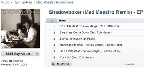 Shadowboxer (Mad Maestro Remix) - Ron Patterson